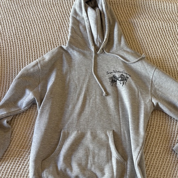 Gray Hoodie with Embroidered Logo - Picture 1 of 1